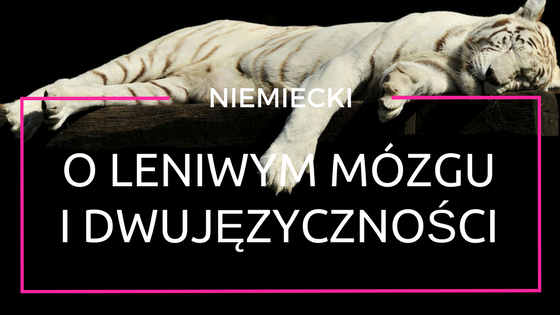 o leniwym mózgu i dwujęzyczności
